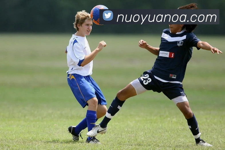 开云平台生态图